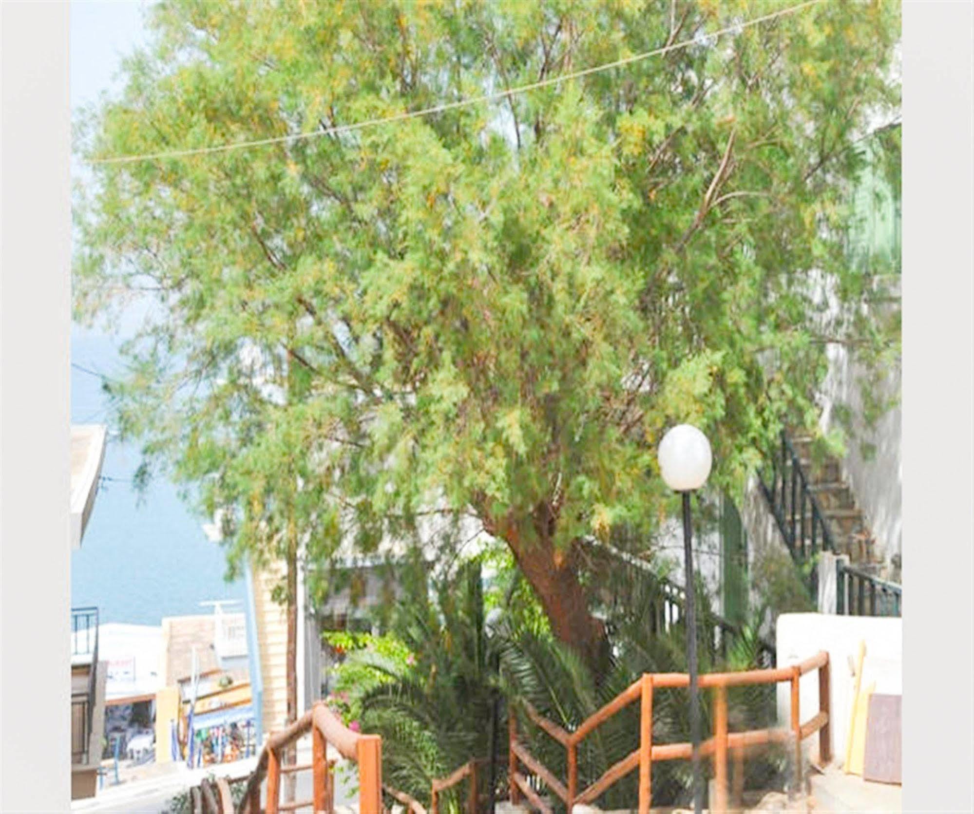 Elounda Collection Apartments Dış mekan fotoğraf